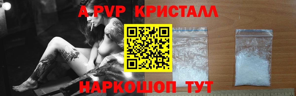 A PVP СК КРИС Шадринск