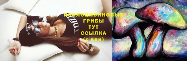 эйфоретик Михайлов