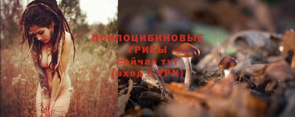 эйфоретик Михайлов