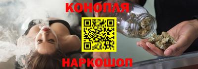 spice Дубна
