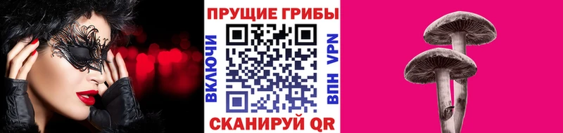 сколько стоит  Шадринск  Галлюциногенные грибы Magic Shrooms 