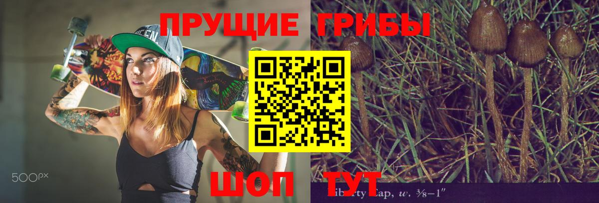 Галлюциногенные грибы Psilocybe Шадринск